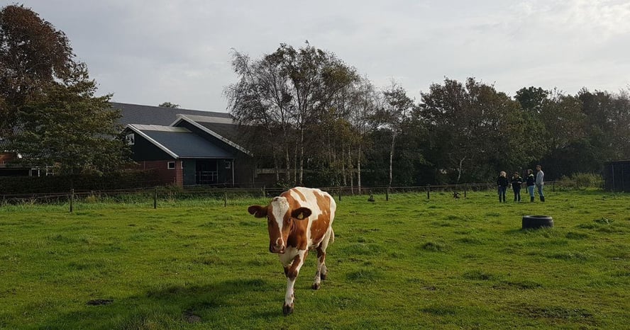 [VERGUNNINGEN] - Welstandadvies - vergunningen - kleine windmolen-1