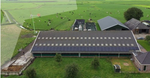De terugleverboete: wat is het en hoe kun je het voorkomen?