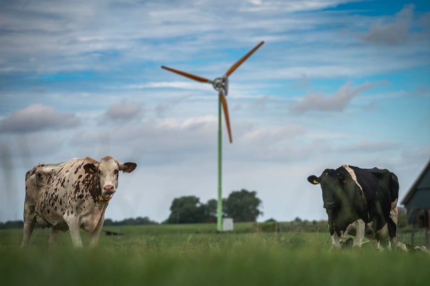 GLB subsidie voor boeren