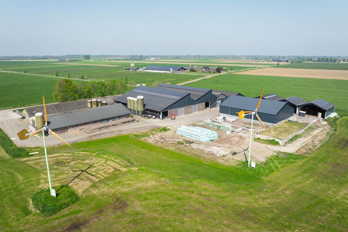 Kleine windmolens bij geitenhouderij in Lith