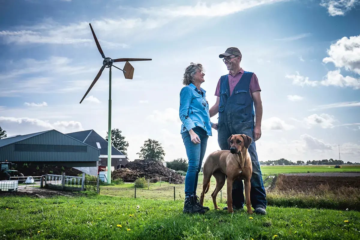 Kleine windmolen in Houwerzijl