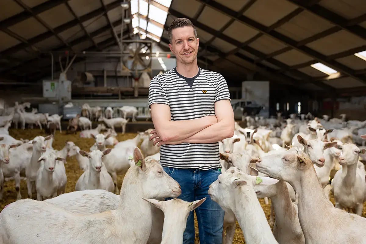 Kleine windmolens voor geitenboer