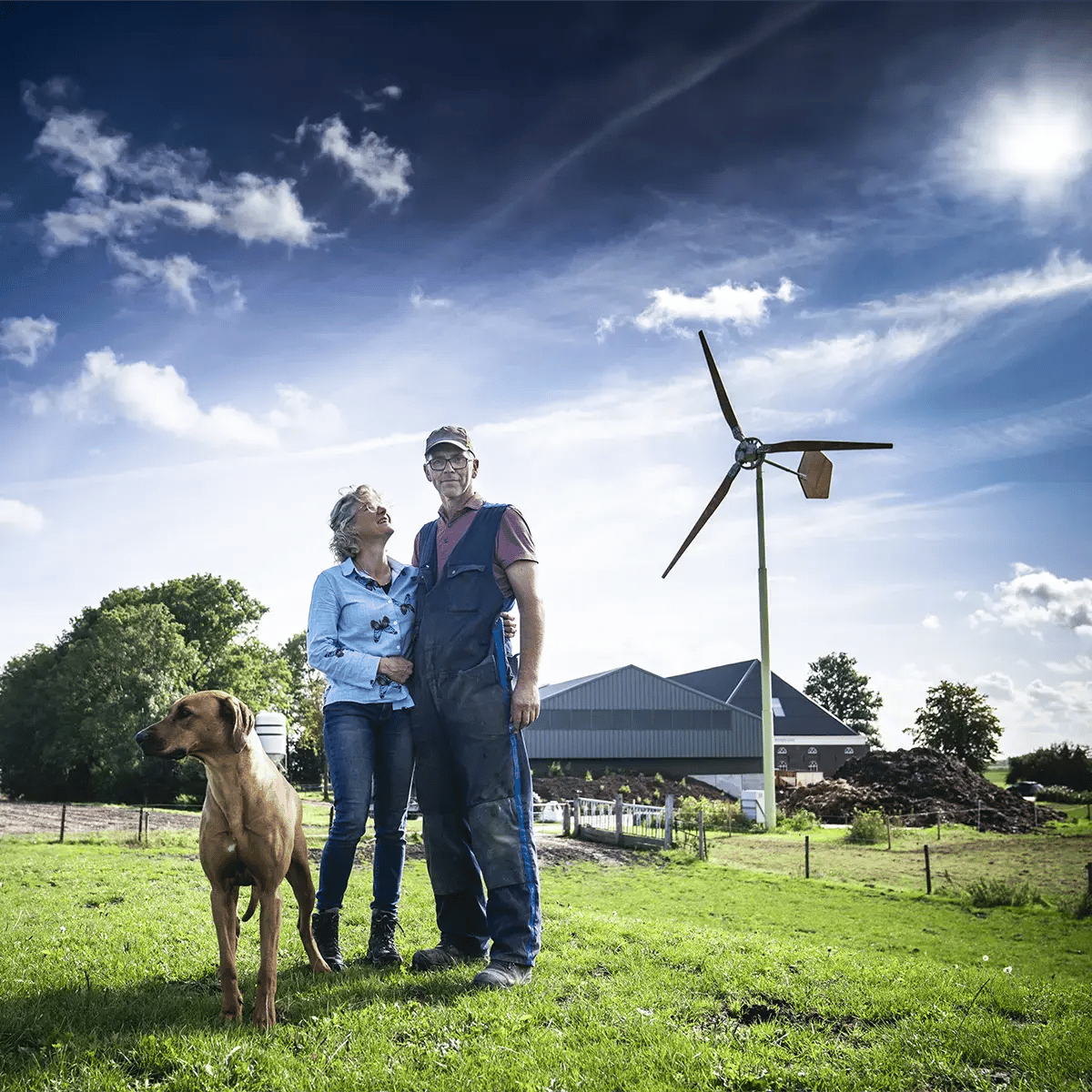 Kleine windmolen op boerderij