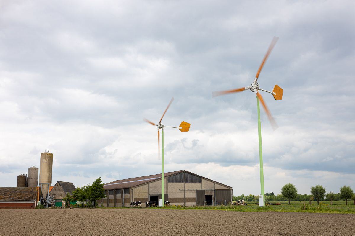 Twee kleine windmolen boerenbedrijf Brusselle Pollinkhove Lo Reninge