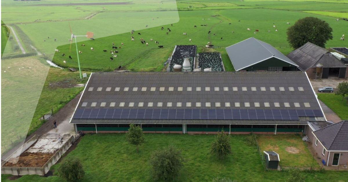 Wat te doen met windmolen en zonnepanelen bij terugleverboete?