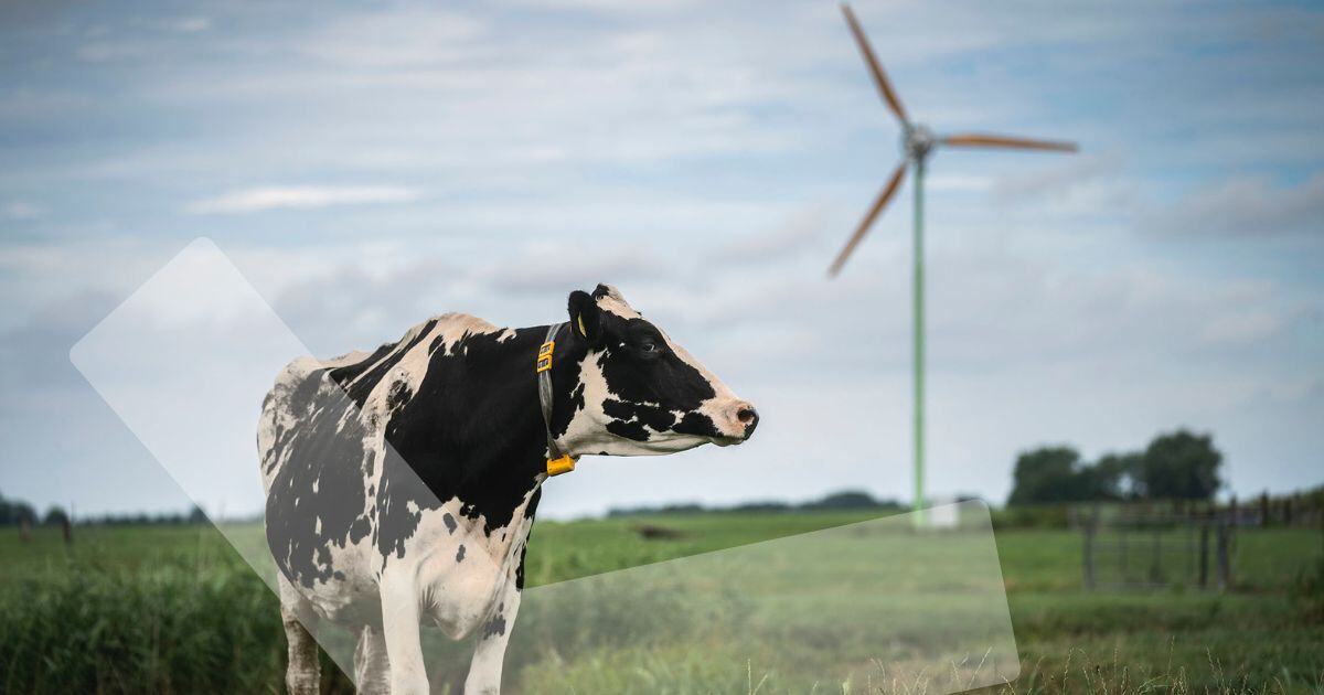 Gebruik de Rabo MKB Duurzaamheidsbijdrage voor een kleine windmolen