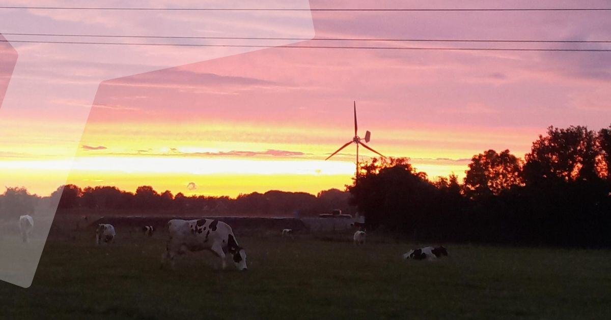 Zonsondergang bij familie met EAZ windmolen te 's-Heer Abtskerke in Zeeland.