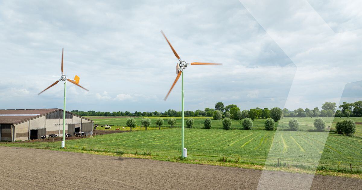 Drie windmolens op het boerenerf